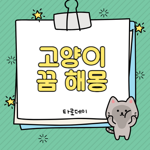 고양이 꿈 해몽 풀이 100가지 총 정리