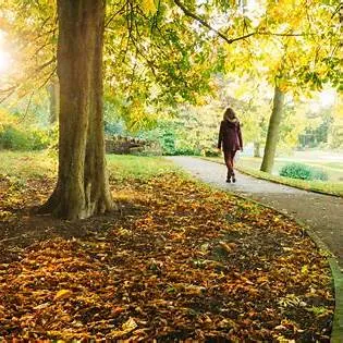 전문가가 말하는 걷기의 놀라운 효과