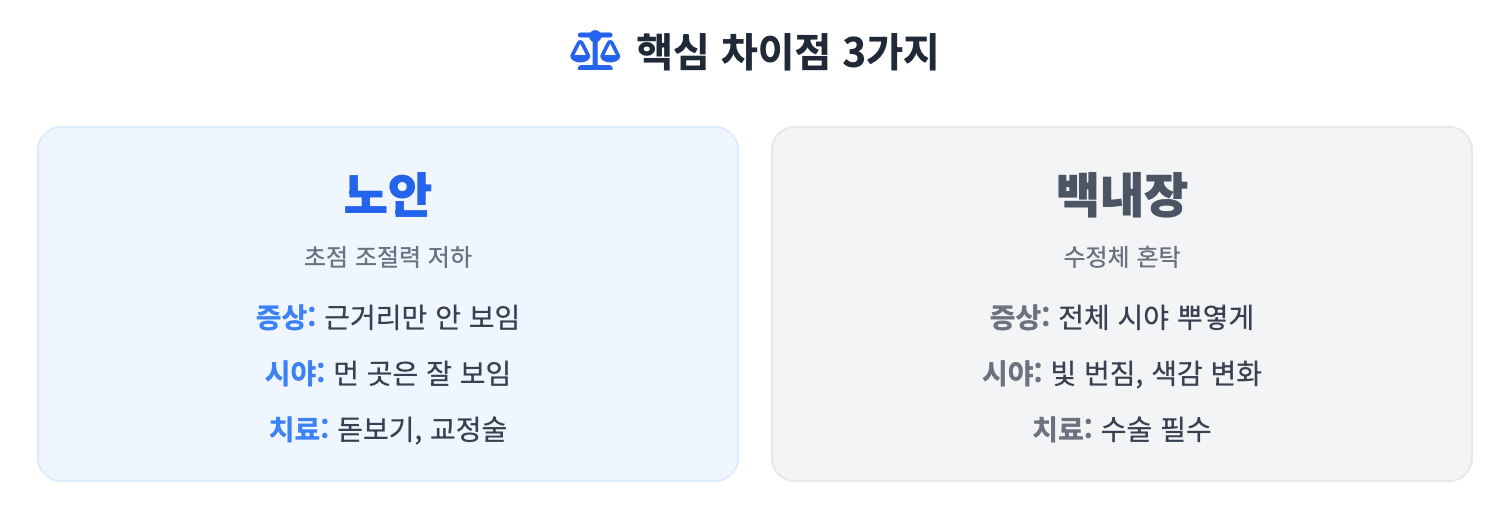 노안 vs 백내장, 무엇이 다른가 핵심 차이 5가지 인포그래픽