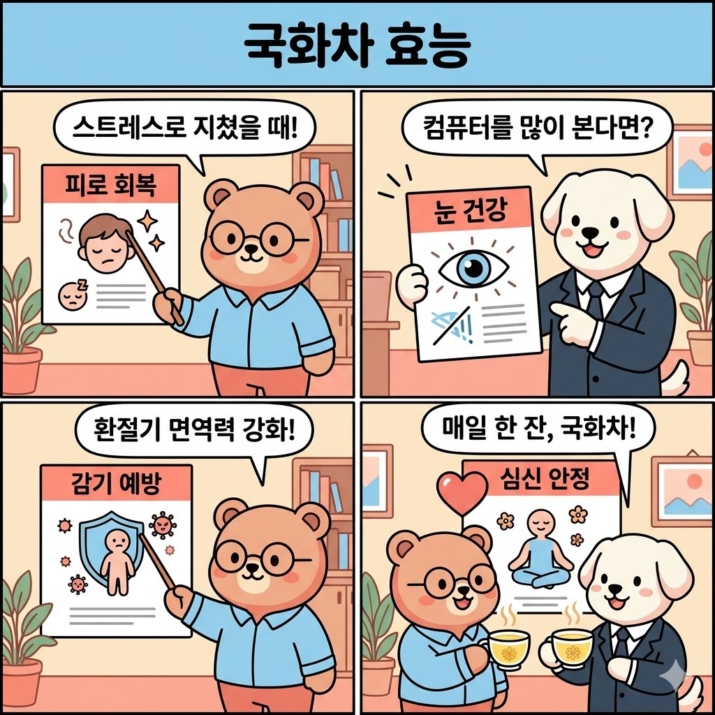 국화차 효능 건강 관리에 도움이 되는 섭취 방법과 주의사항