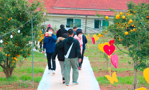 고흥유자축제 일정 프로그램 주변 맛집 숙소 교통 주차 정보