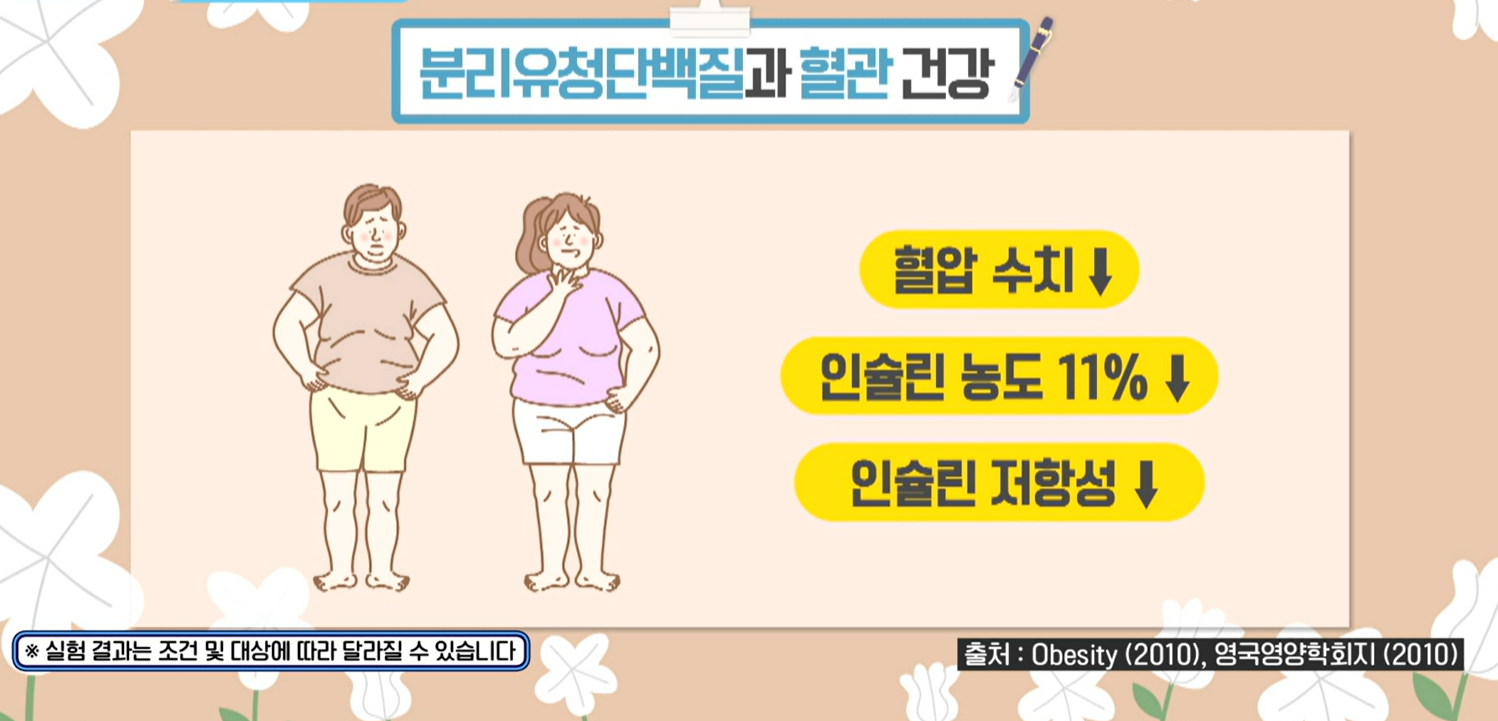 분리유청단백질 효능