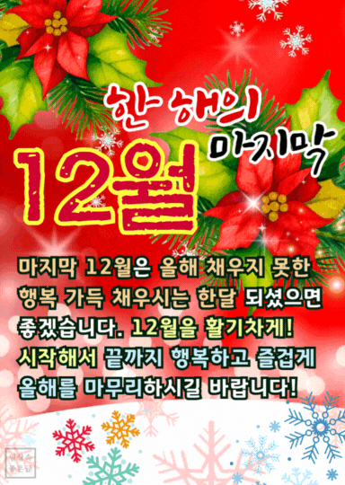 12월 인사말 이미지 문구, 붉은 포인세티아와 눈송이 배경에 12월 인사말 문구가 담긴 연말 카드 이미지