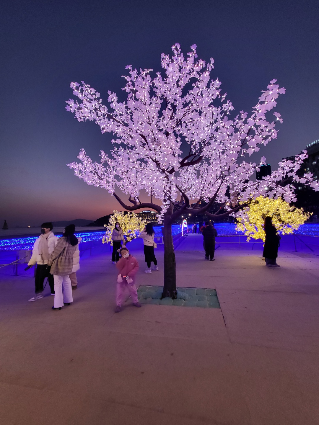 해운대 빛축제