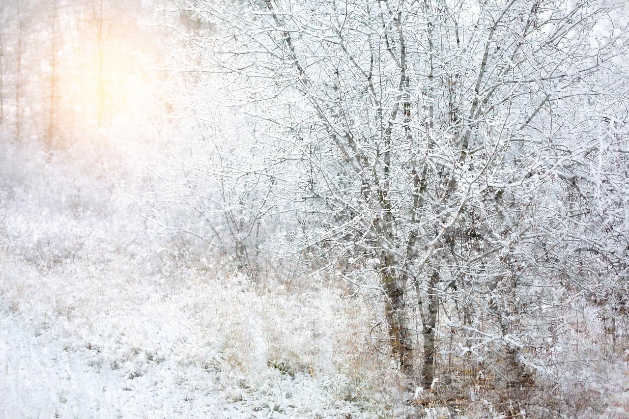 눈이 오는 꿈 &ndash; 정적 속의 감정, 멈춤과 치유의 신호