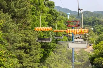 서울대공원 캠핑장 둘레길 동물원 입장료 맛집_21
