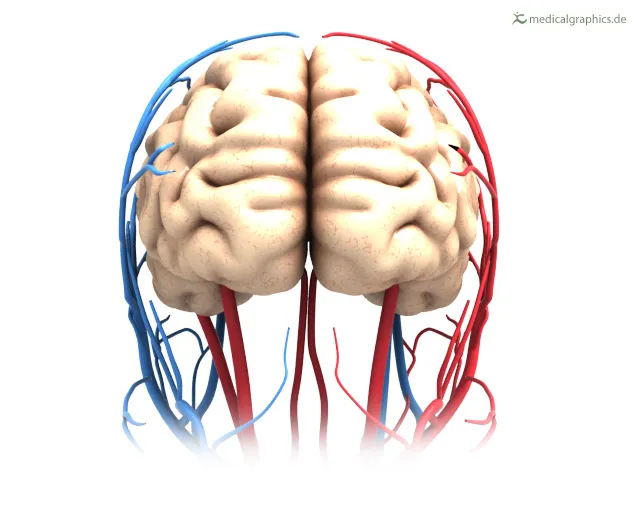 뇌졸중 초기 증상 이것만 알자