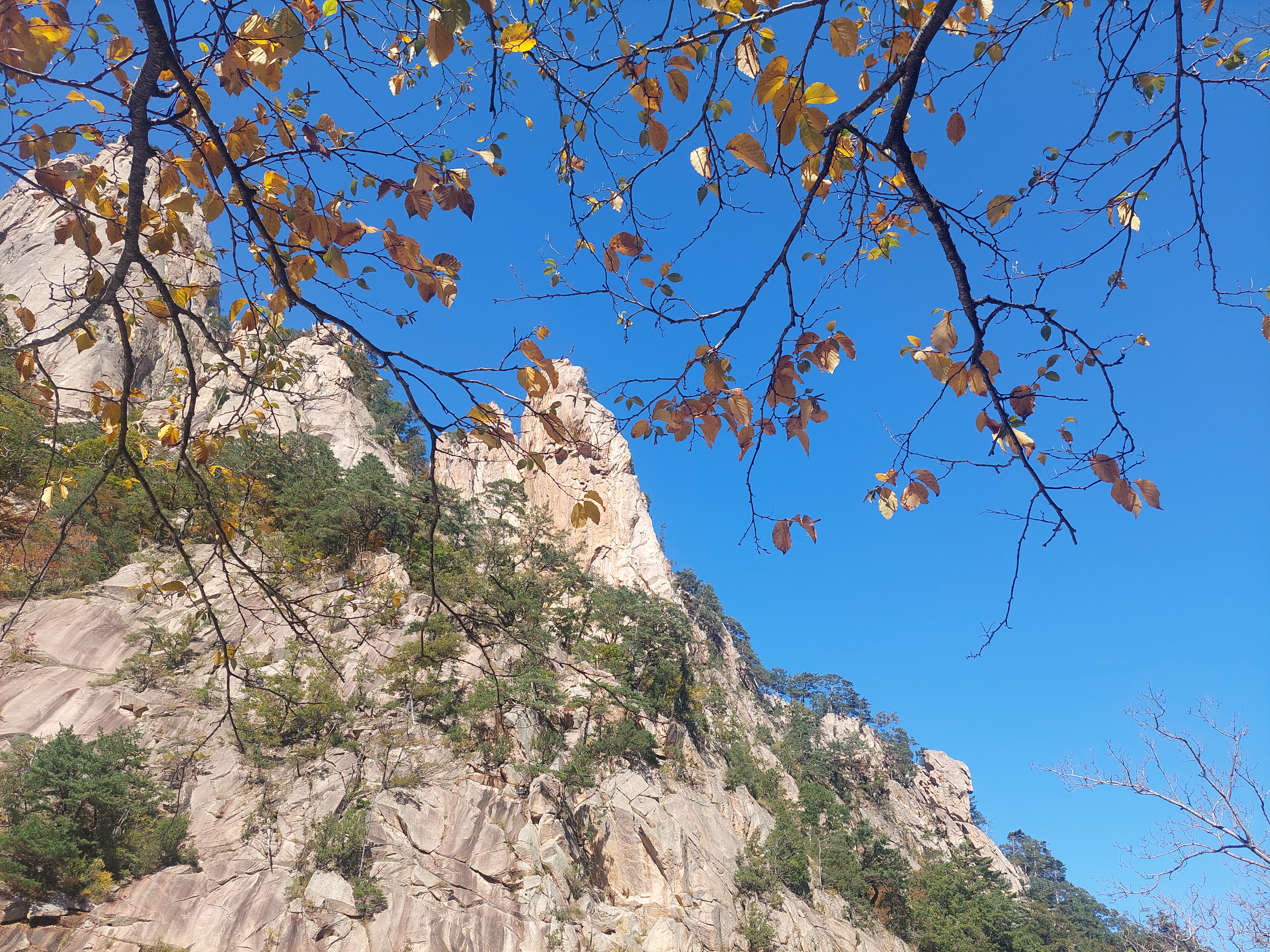 설악산