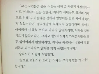 볼테르 캉디드 풍자 소설의 사회 비판과 철학적 메시지_13