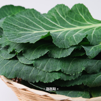 루테인 많은 음식