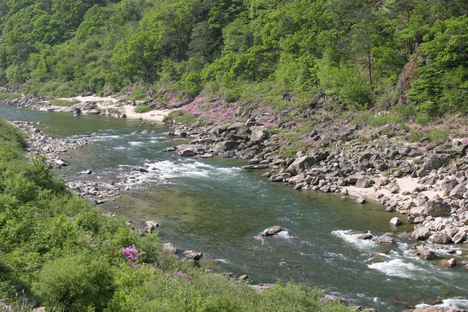 인제 아침가리골 계곡 트레킹