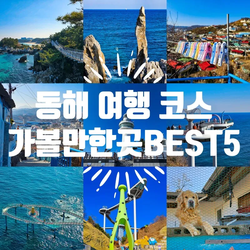 동해 가볼만한곳 맛집 추천 카페 봄 베스트 10_7
