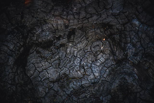 바이오차의 제조 방법과 원료