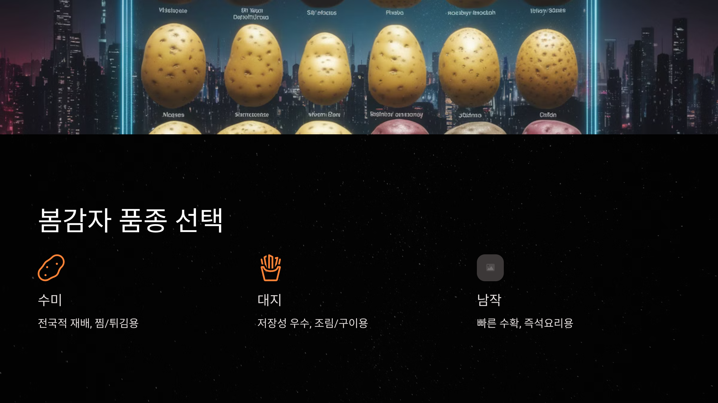 봄감자 품종 선택과 특성