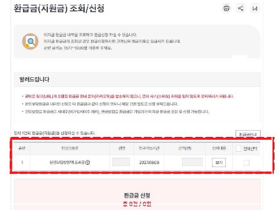 의료비 환급금 조회 공식 가이드 (2024)