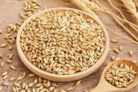 파로 효소 효능 가격 추천 분말✅