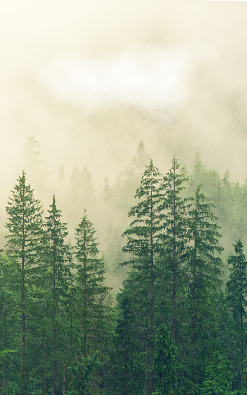 카톡 배경화면 사진 이미지 카카오톡 배경화면 바꾸기 무료 이미지 모음