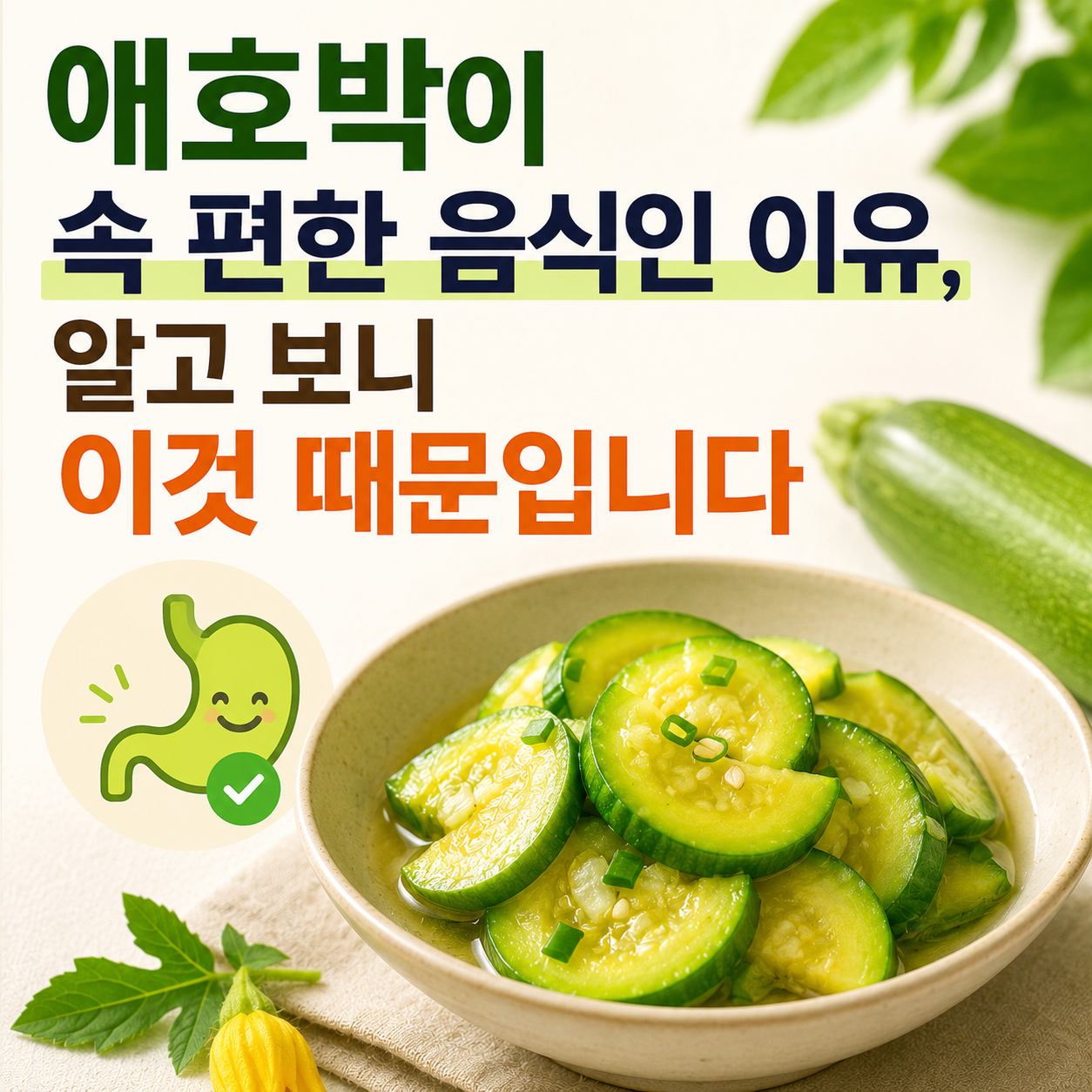 애호박이 속 편한 음식