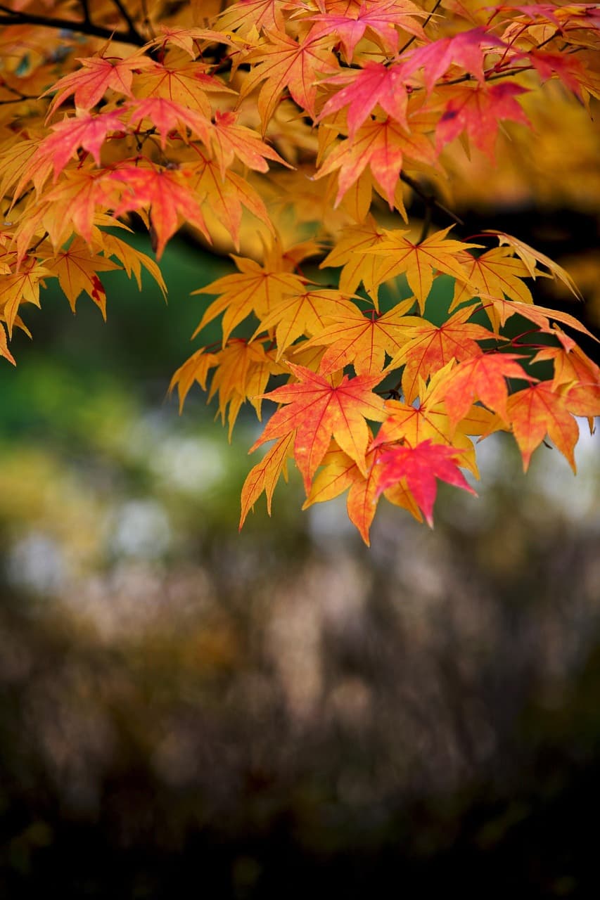 버려진 도심 주차장을 다기능 생활광장으로 전환하는 실천적 도시재생 방법