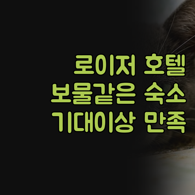 로이저 호텔 클래식 가든 교토 산조 ..