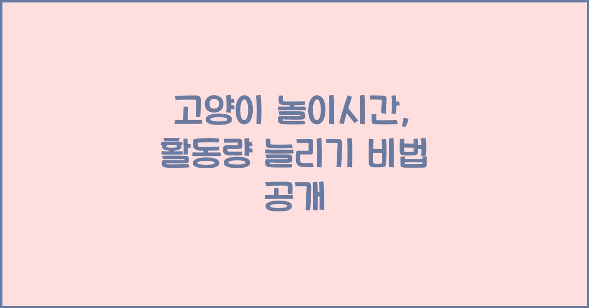 고양이 놀이시간, 반려묘 활동량늘리기  