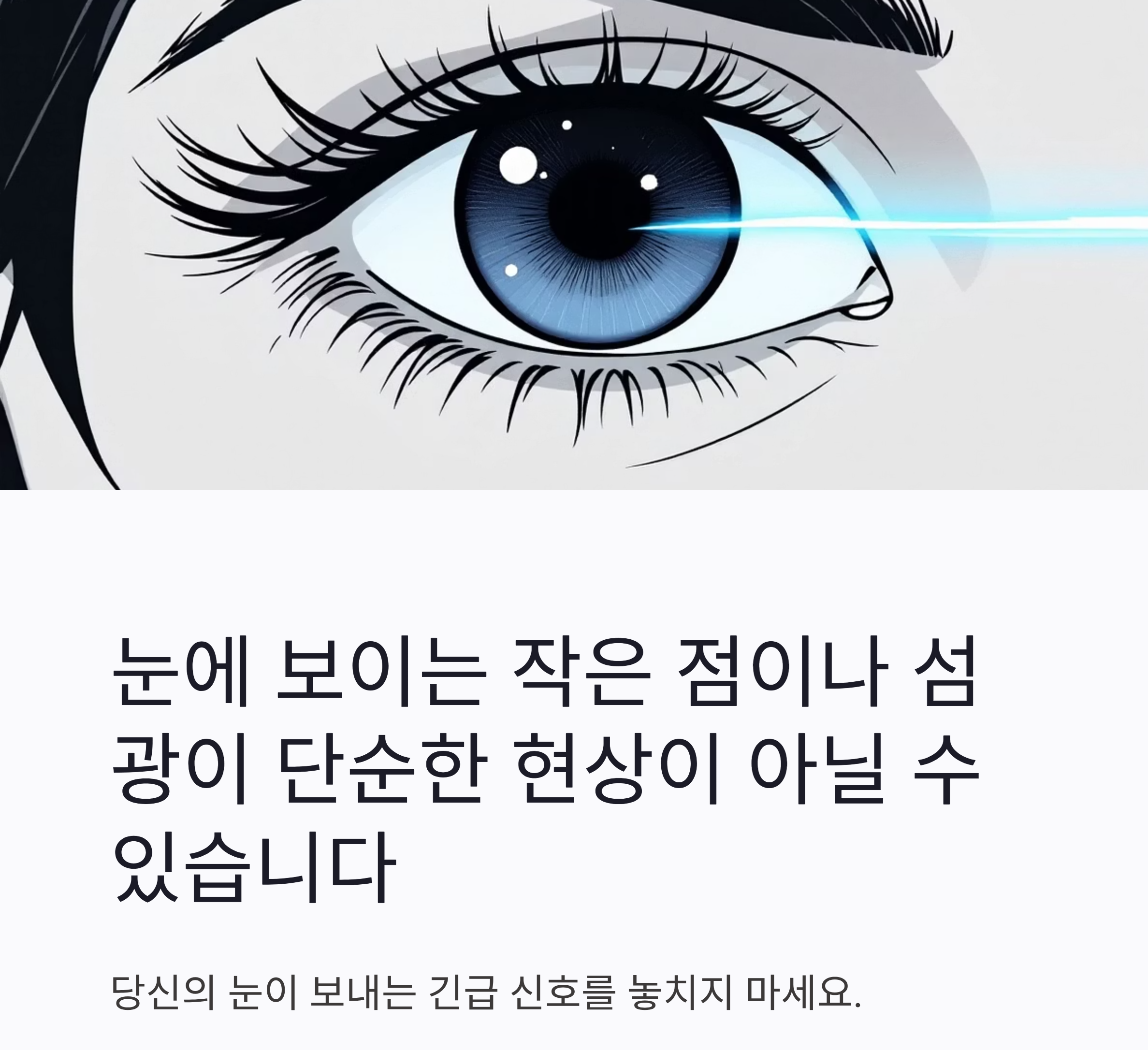 (비문증과 광시증)