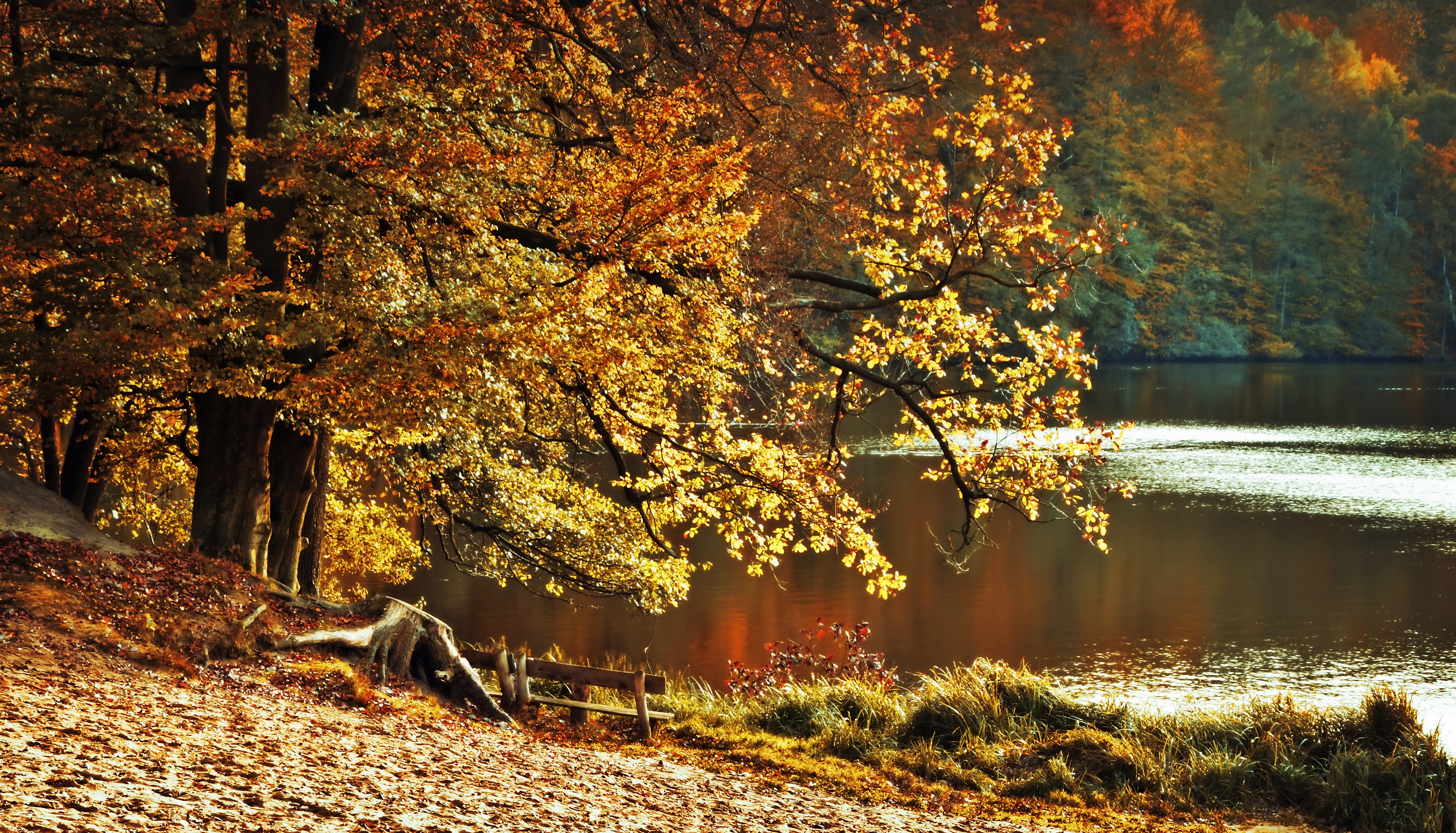 섬진강 가을 풍경 관련 사진