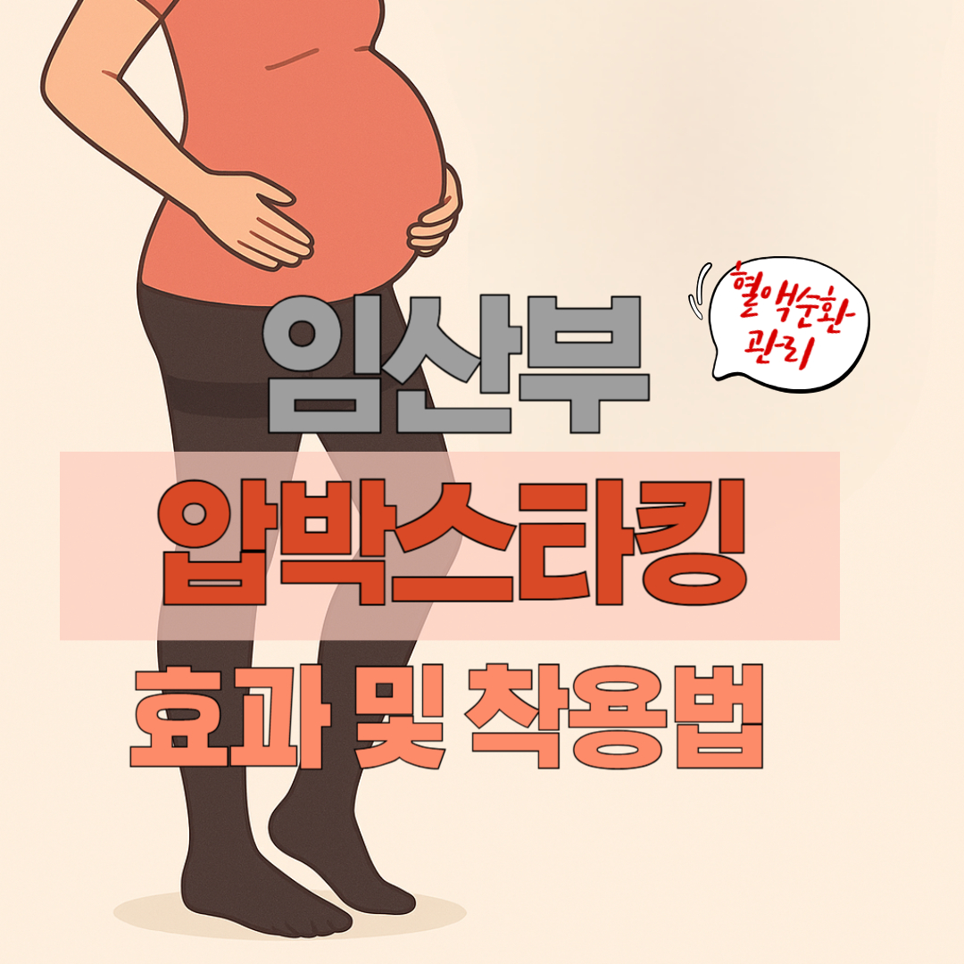임산부 압박스타킹에 관한 사진