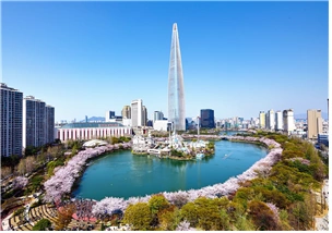 벚꽃축제