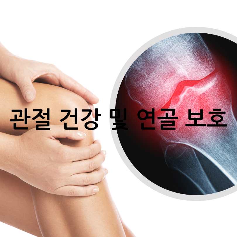 저분자 어린 콜라겐