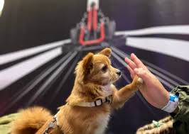 추석 연휴 국내 여행지 축제 5