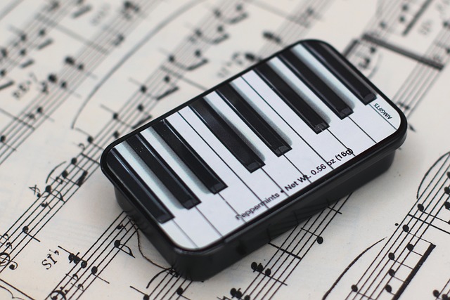 악보 보는법 배우기