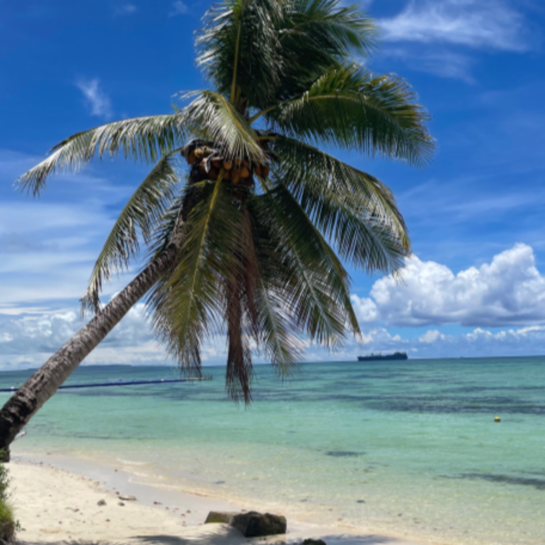 사이판 관련 사진