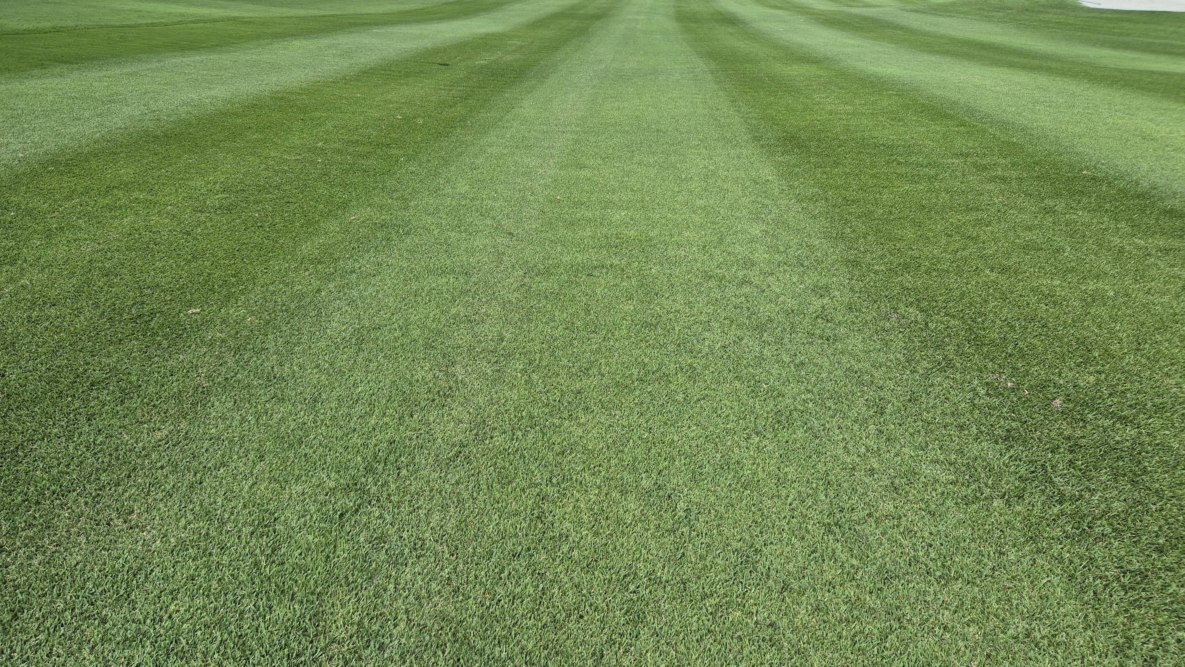 한성cc 오렌지-그린 코스 라운드 후기