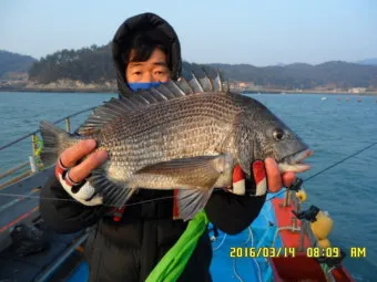 낚시 초보 탈출 감성돔 감칠맛 나는 회 손질 요령_11