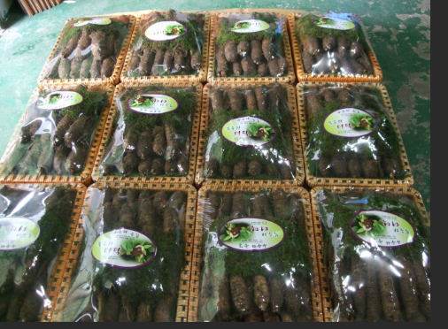 횡성 주주리농장 더덕