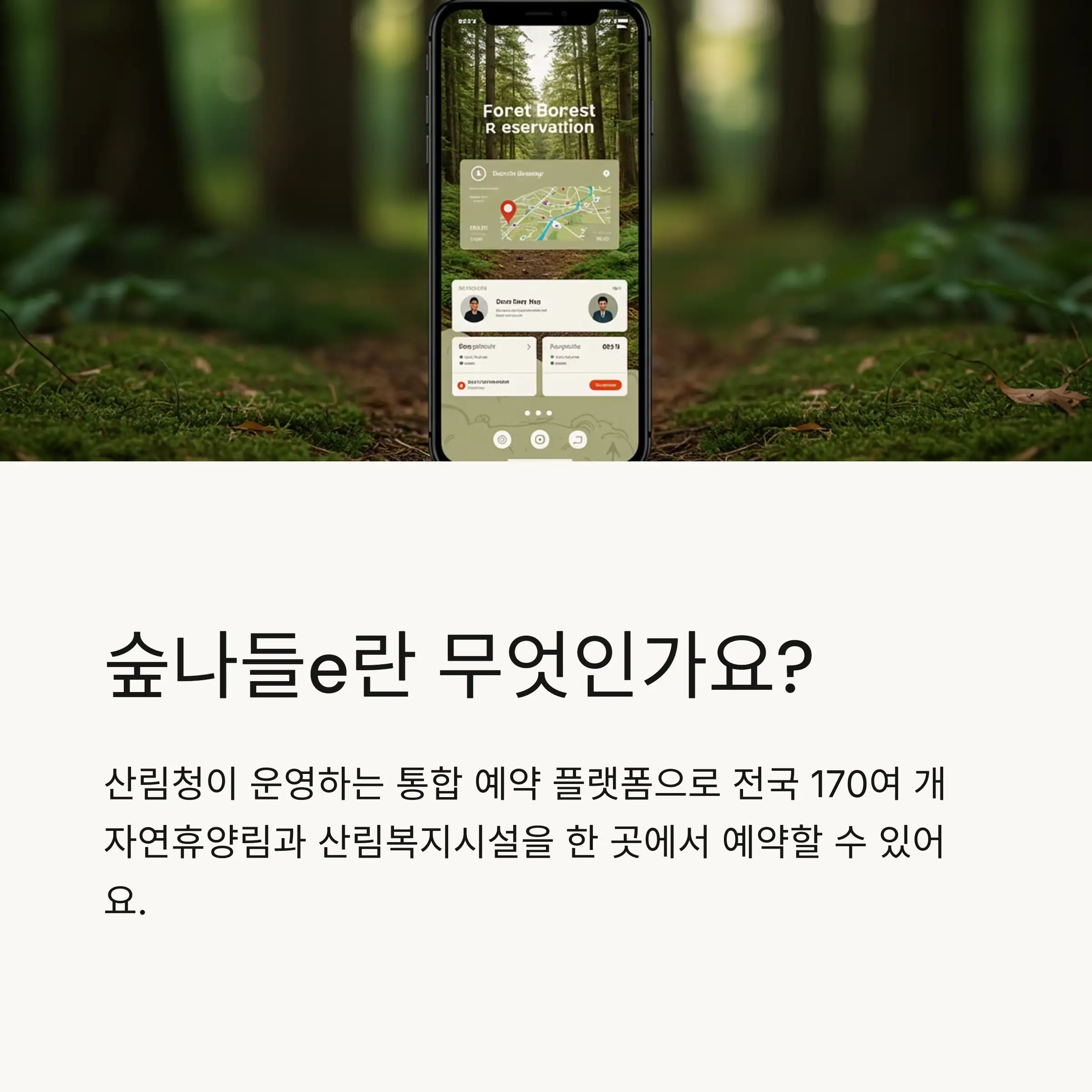 🌲 숲나들e 소개와 주요 서비스