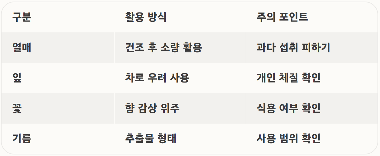 감태나무의 효능 열매 차 기름