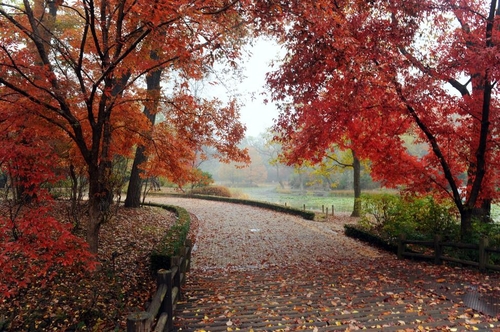 광릉숲길 주요 코스
