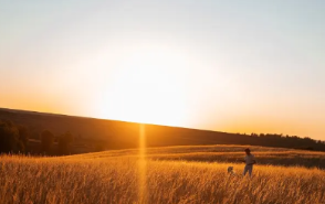 해돋이 노을 명소