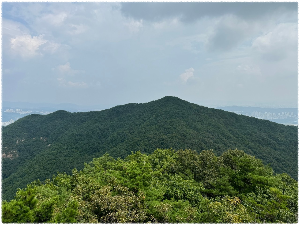 빈계산