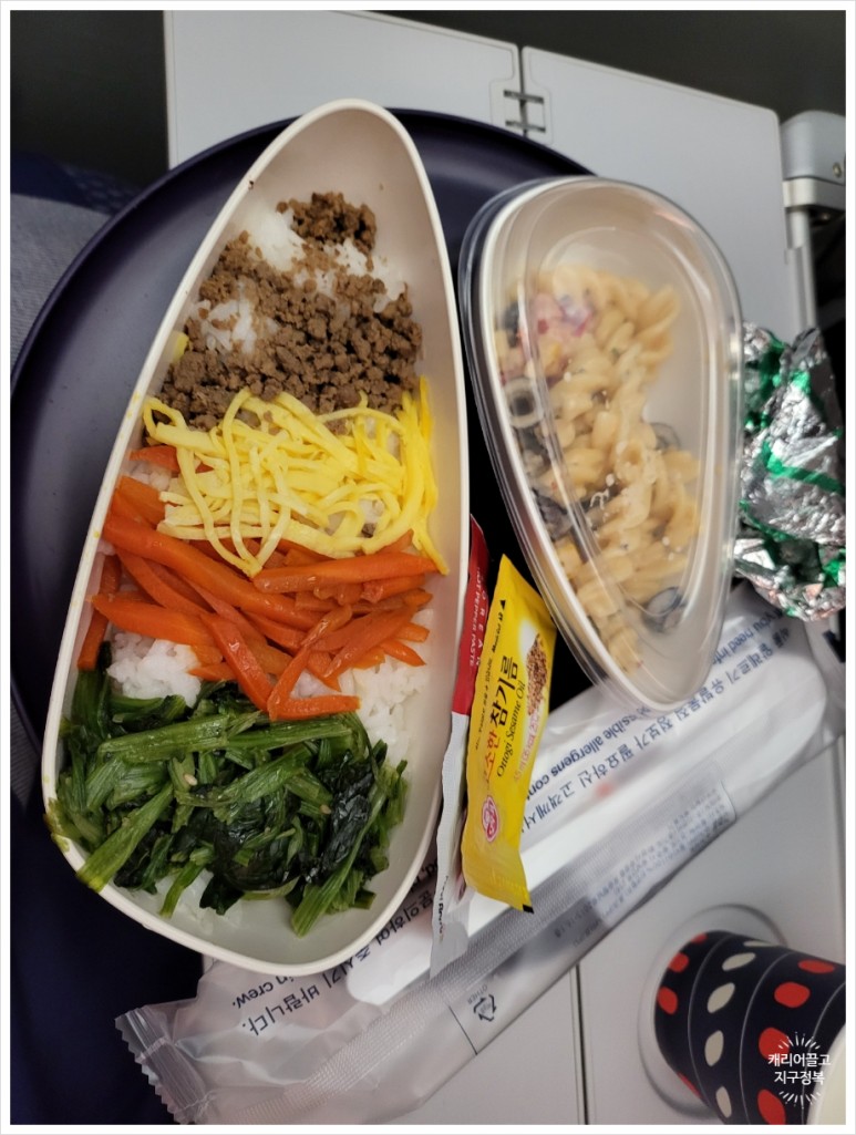 뉴웍으로 가는 에어 프레미아 후기