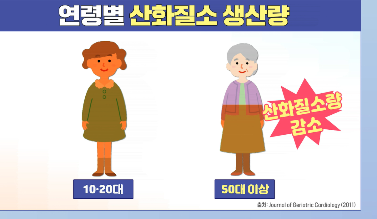 아르기닌의 효능
