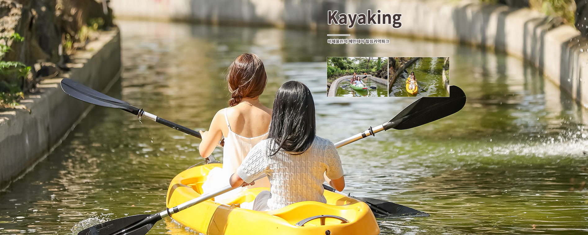 비체올린 능소화축제