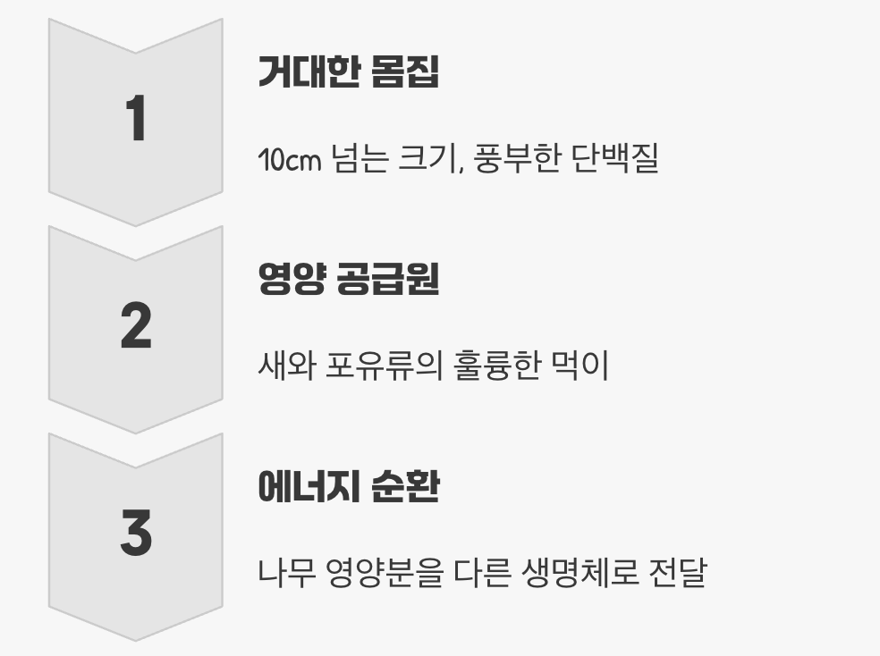 숲의 에너지를 순환시키는 '연결고리'