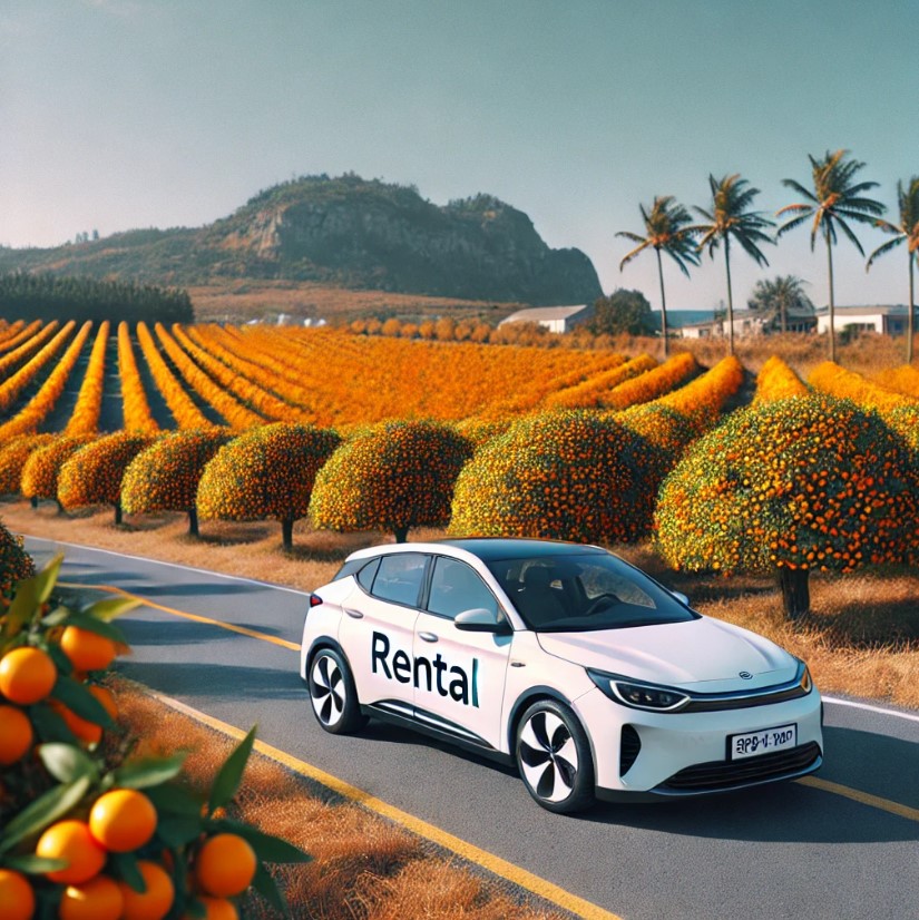 가족 여행 추천 코스