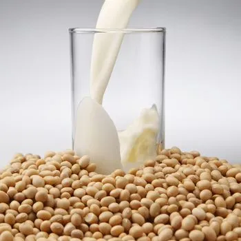 두유