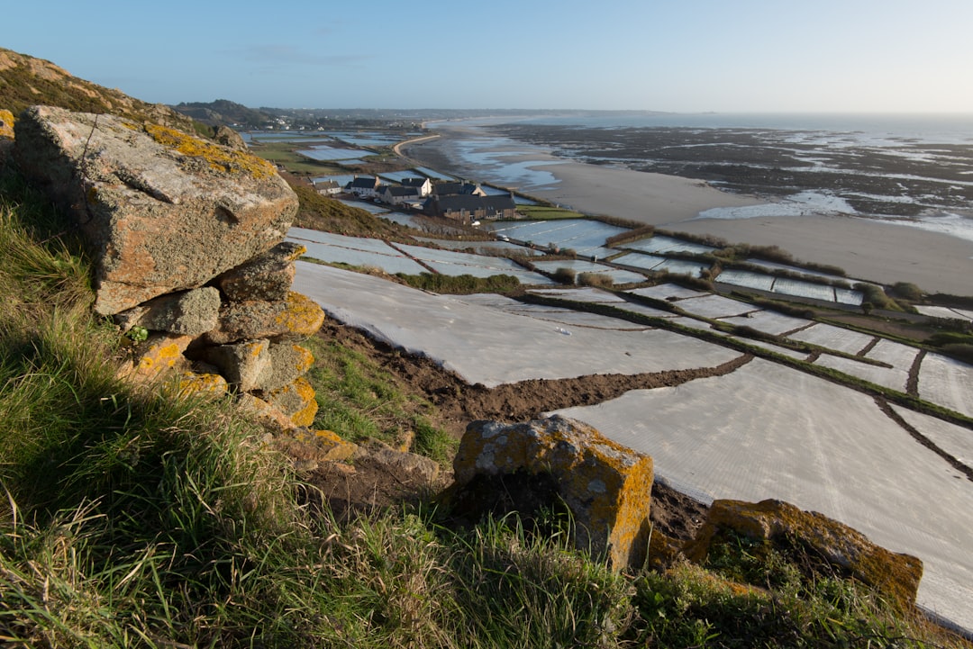 'Jersey'