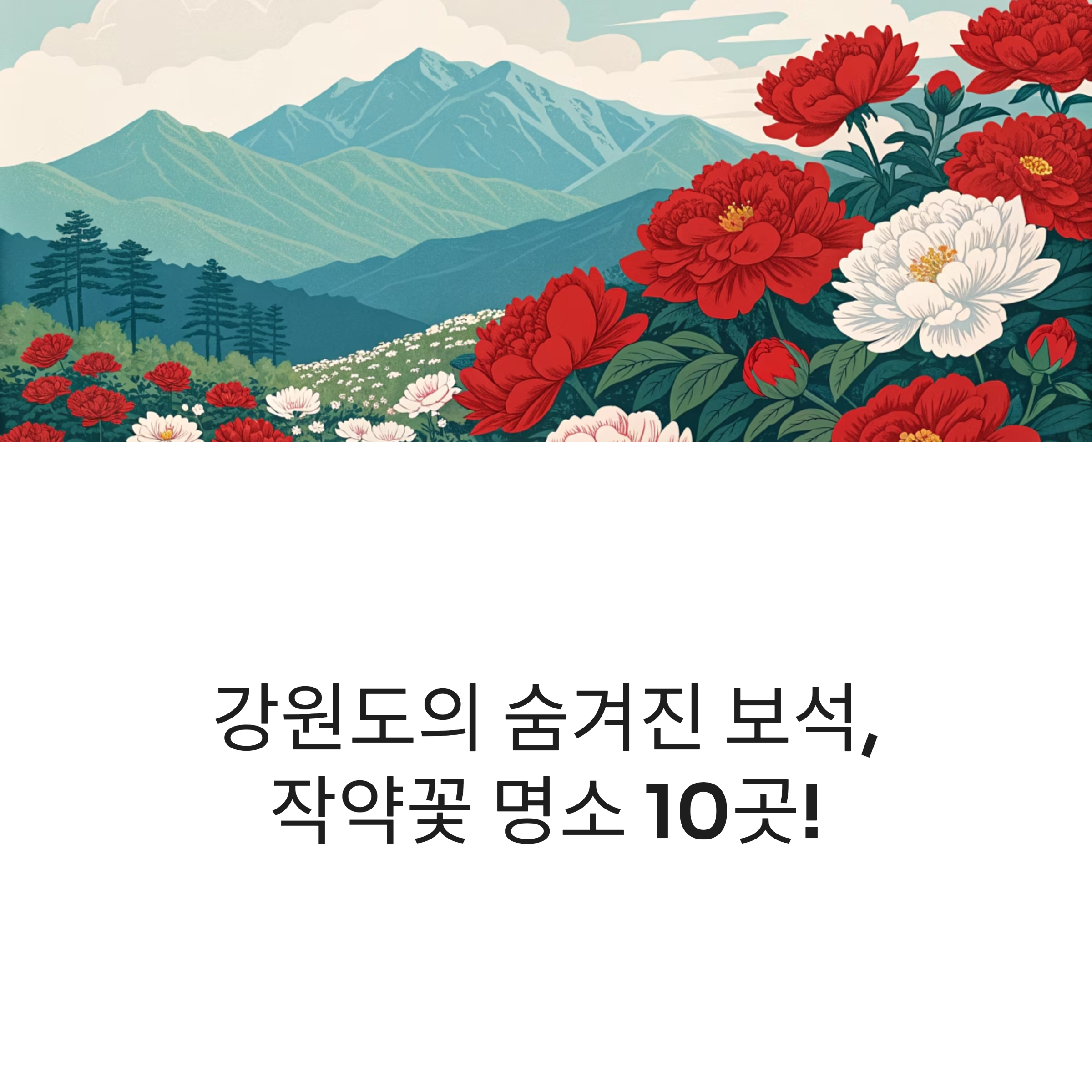 강원도 작약 명소 10곳 추천