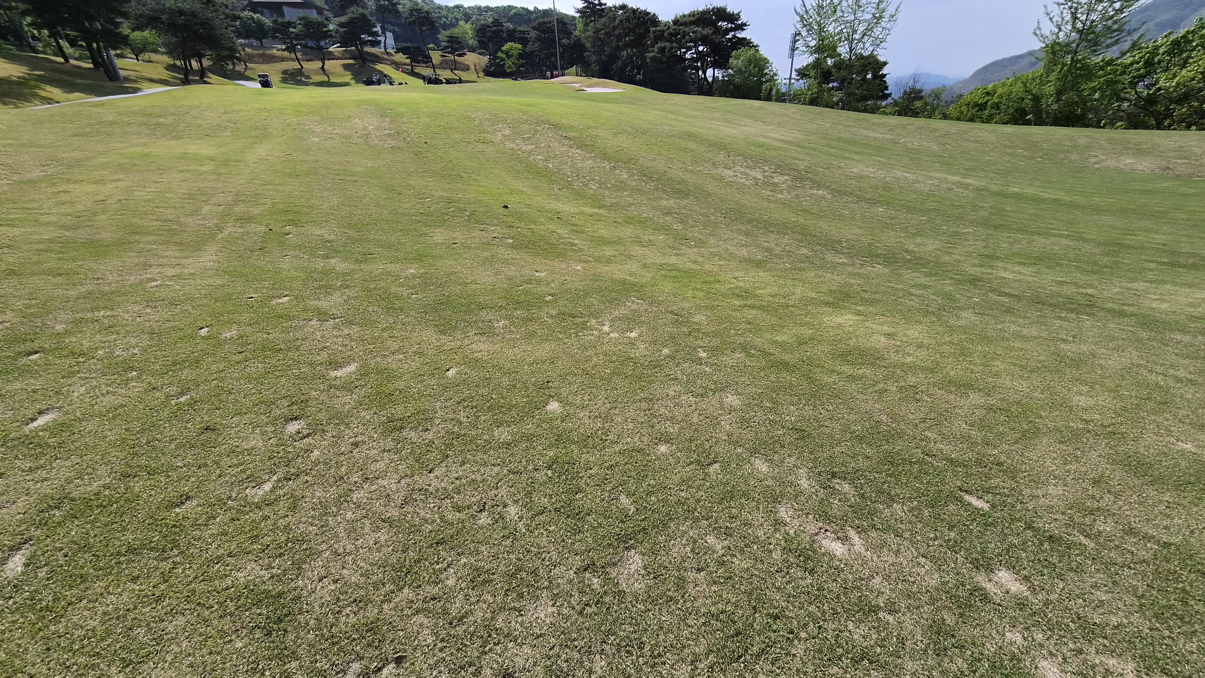 포웰cc 프린세스 라운드 후기